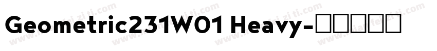 Geometric231W01 Heavy字体转换